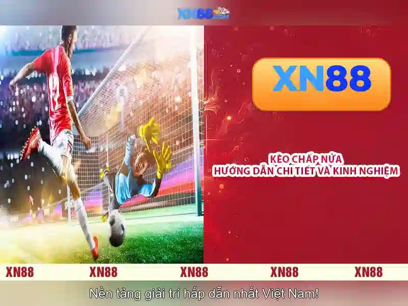 💎voiture hb88💎