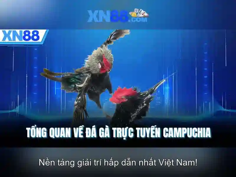 💎888 slot solutions💎