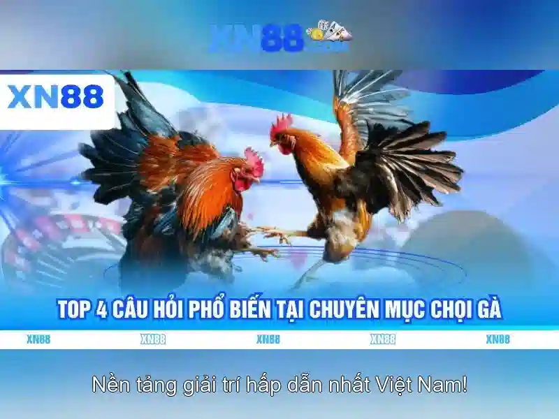 💎slot brackets💎