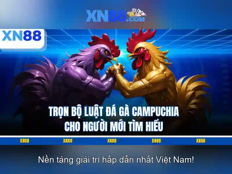 💎888slot logistics💎