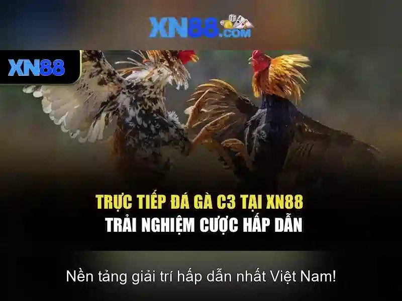 💎boy kings treasure slot💎