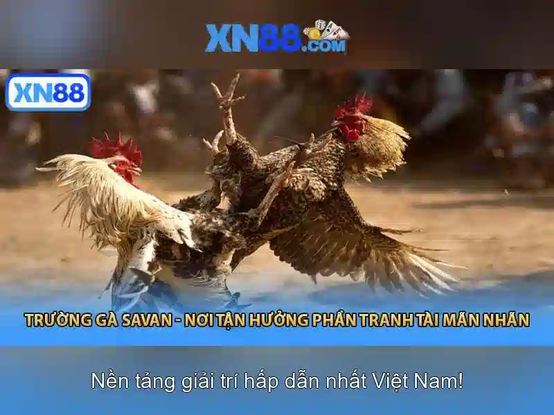 💎hb88 178 games💎