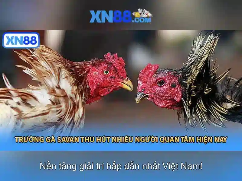 💎kèo nhà cái đức pháp💎