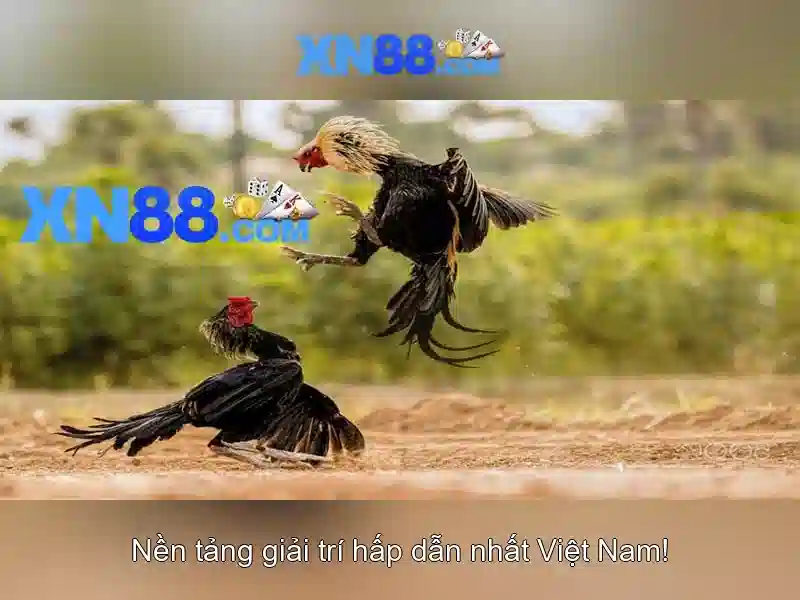 💎79 hb88 login💎