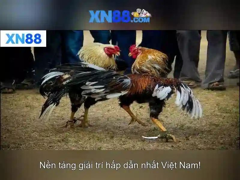 💎royal 888slot💎