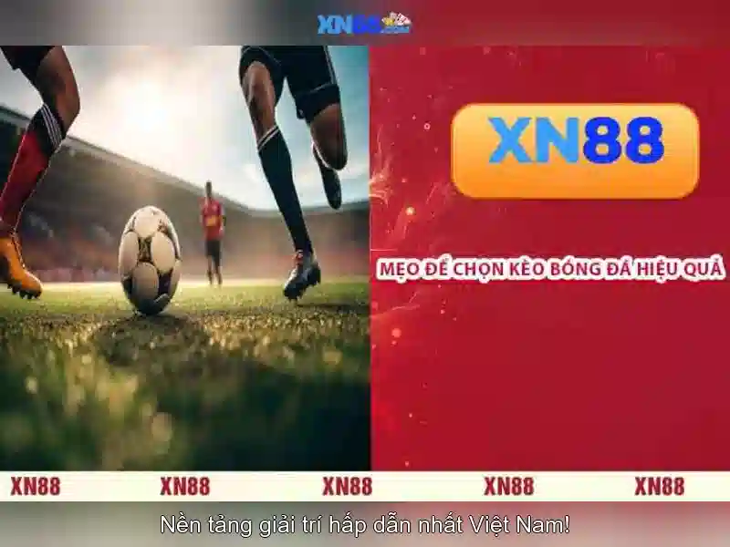 💎hb88 tây ninh theo chủ sở hữu💎