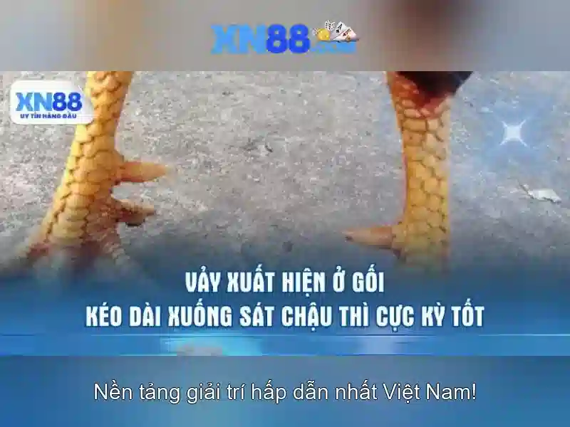 💎10 hb88 app download💎