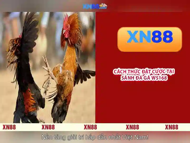 💎casino games slots free live💎
