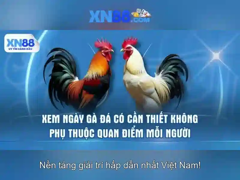 💎cấp bậc danh dự của kfc💎