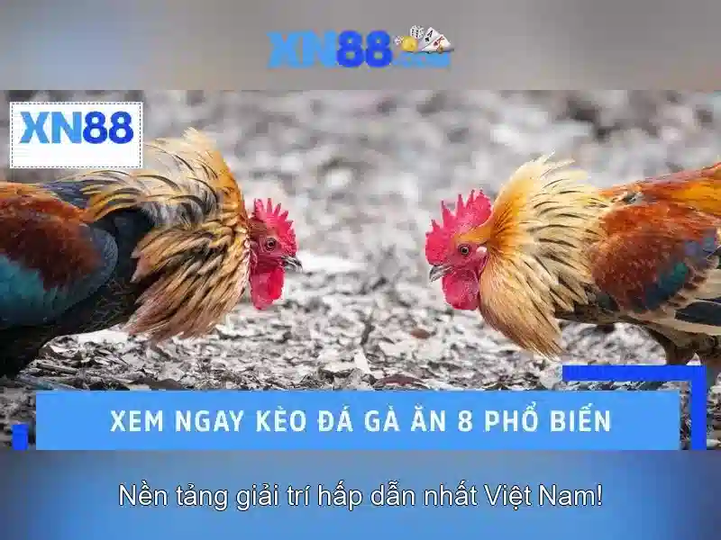 💎80 888 slot💎