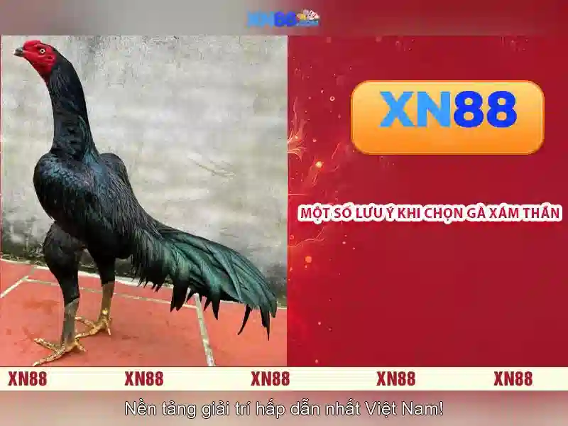 💎888slot slot epl💎