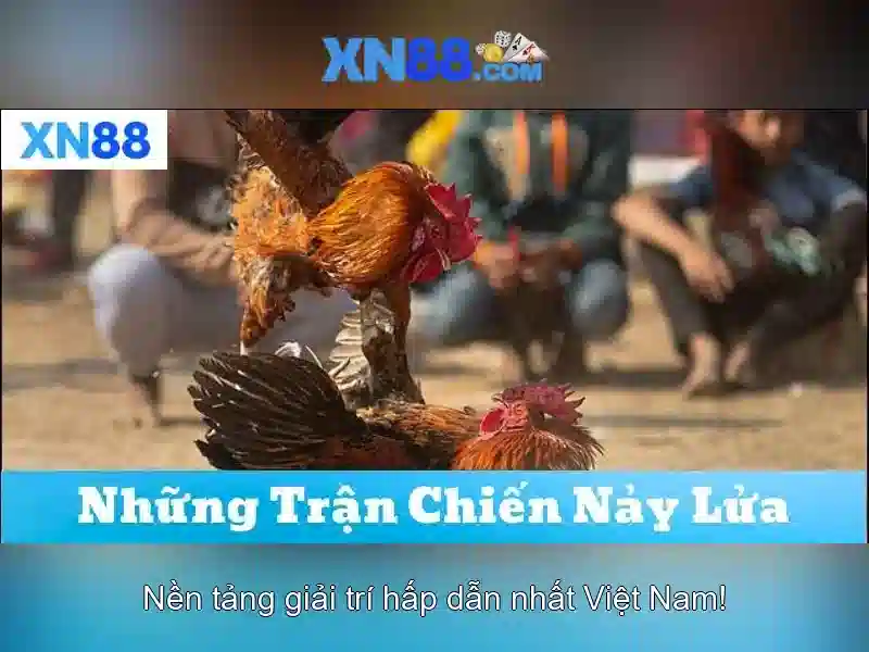 💎hb88 slot son💎