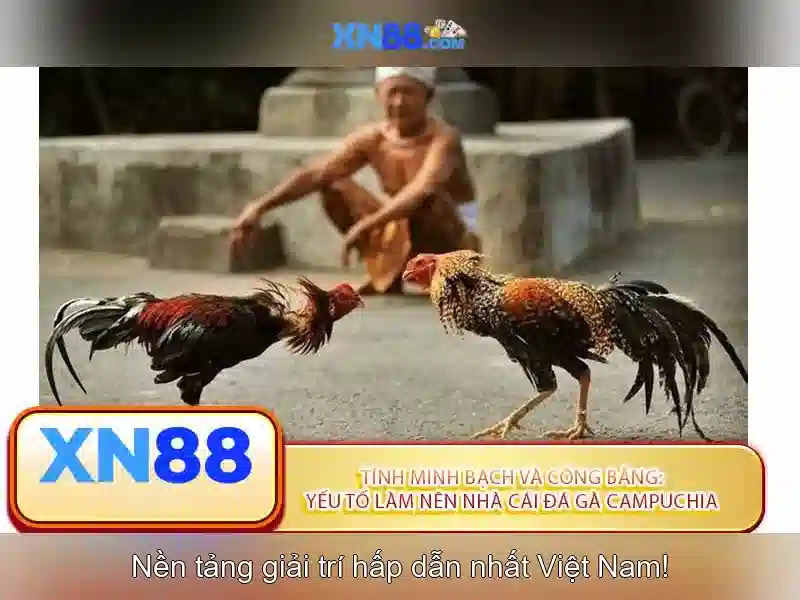 💎keo ca cuoc bong da so💎