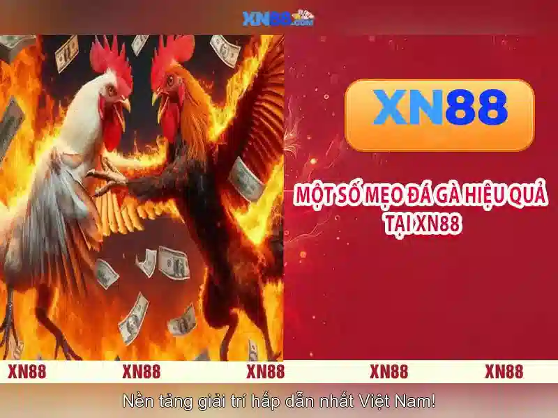 💎kèo nhà cái 1.net💎