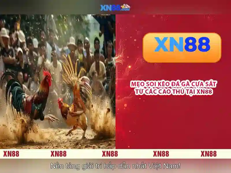 💎188v chính thức💎 - link dự phòng 188v - slot 188v