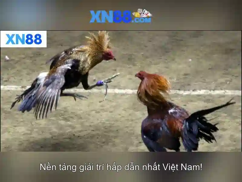 💎888slot jackpot 777 888slot casino login💎