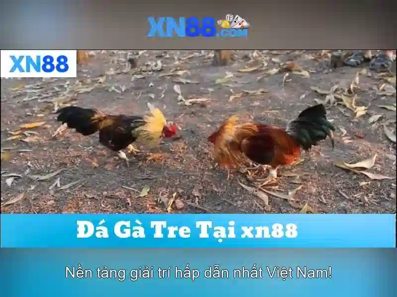 💎reverbnation com reverbnation com 888slot💎