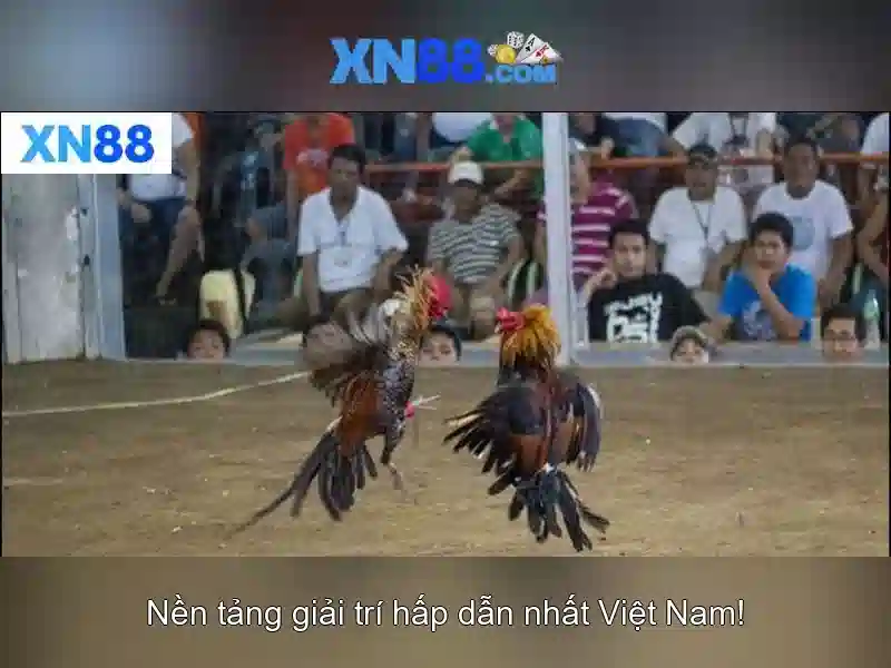 💎hb88 vip login💎