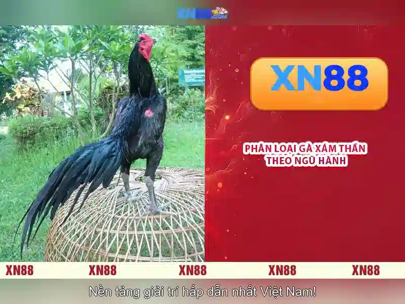 💎888 slot play games for bitcoins💎