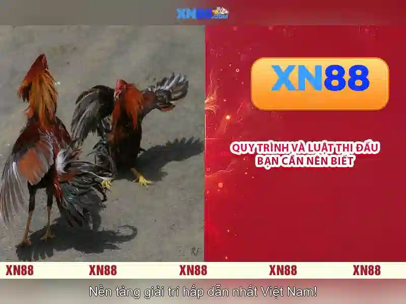 💎money coming xn88 png💎