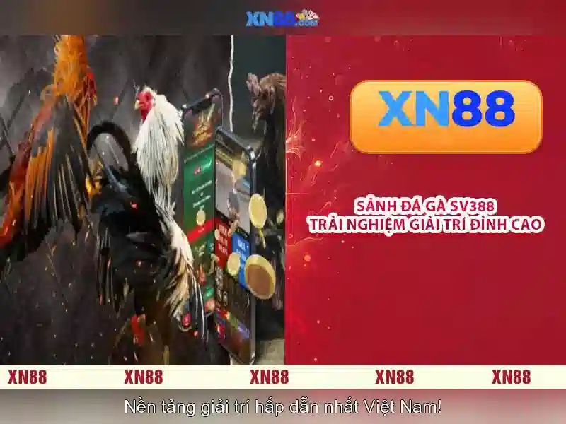 💎super bingo xn88💎