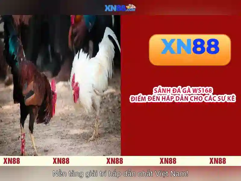 💎hb88 slot van nistelrooy💎