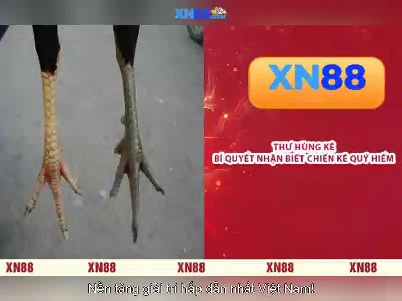 💎888 slot city vn💎