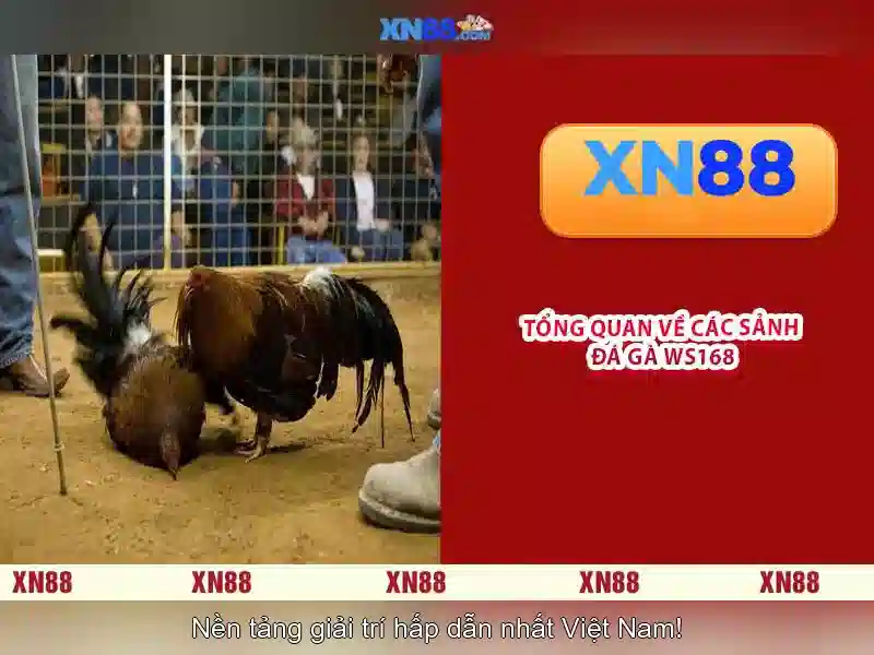 💎casino for free slots💎