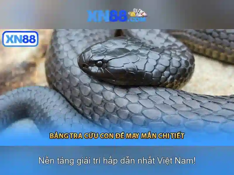 💎muertos multiplier megaways slot💎