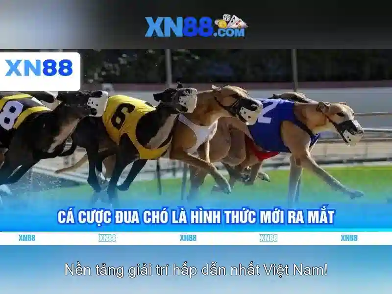 💎bóng đá trực tiếp 24h kèo nhà cái💎