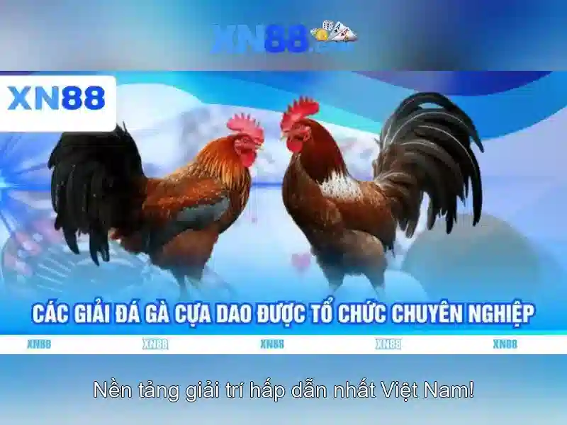 💎mánh khóe đánh bạc qua mạng của nhà cái💎