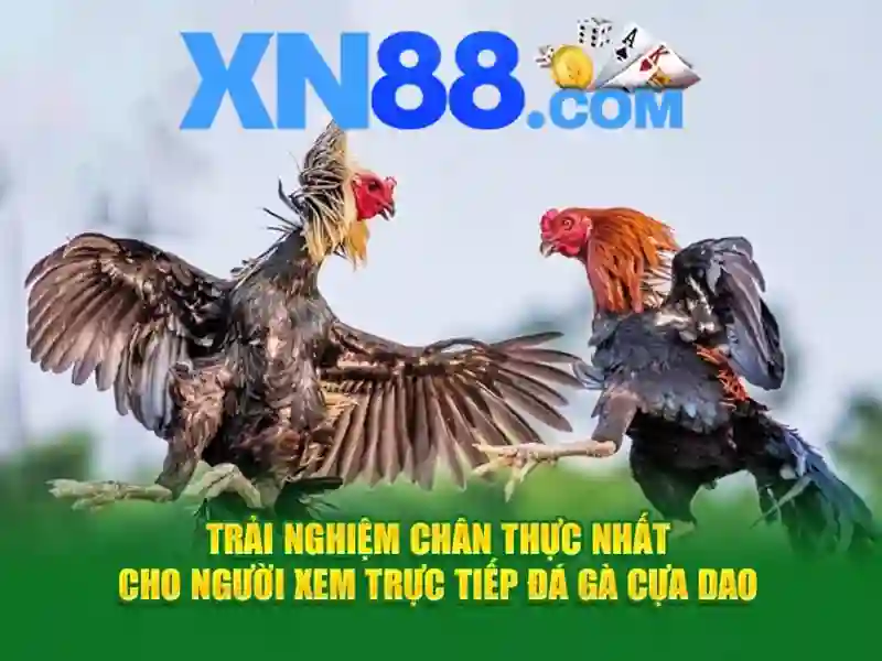 💎bí mật nhà cái zet💎
